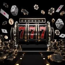 505 bet app