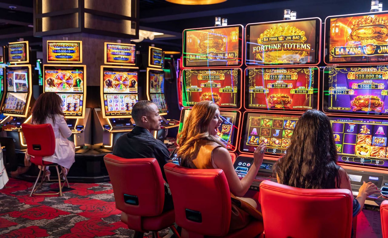 505 bet app