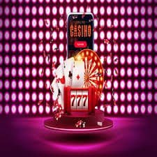 505 bet app